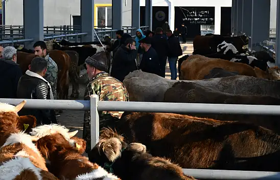 Kayseri'de kurbanlık tavsiye fiyatları açıklandı
