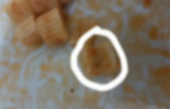 Kayseri'de KYK yurdunda büyük skandal – Yok artık diyeceksiniz!