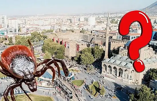 Kayseri'de masaları bir anda kene doldu: Vatandaşlar neye uğradığını şaşırdı!