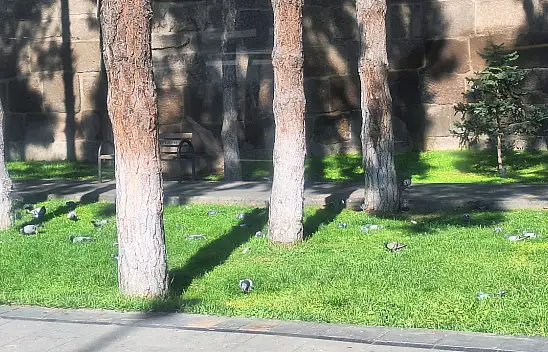 Kayseri'de onlarcası Âşıklar Parkına akın etti