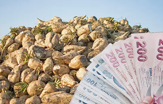 Kayseri'de pancar fiyatı belli oldu: Üretici hayal kırıklığına uğradı!