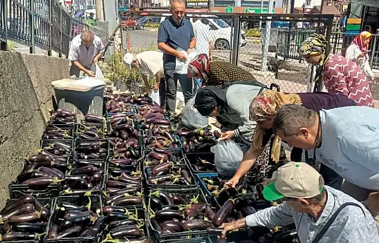 Kayseri'de patlıcan krizi – Bulunamıyor!