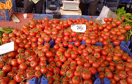 Kayseri'de salı pazarları nerelerde kurulacak?