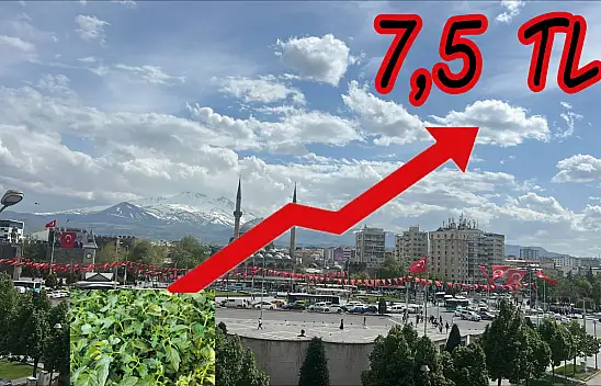 Kayseri'de Satışa Çıktı - Adet Fiyatı 7,5 TL Oldu!