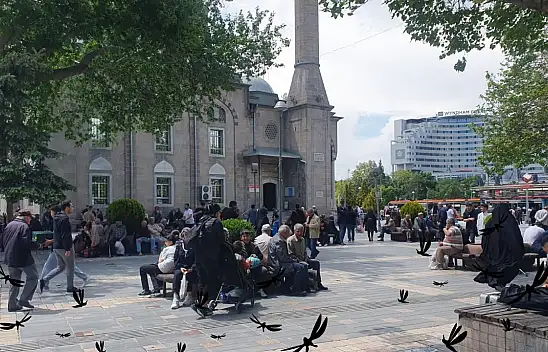Kayseri'de şikayetler arttı: Vatandaşı canından bezdiren istila!