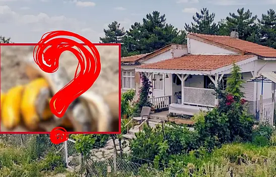 Kayseri'de sinsi tehlike: Evine girdi, ne yapacağını şaşırdı… Bağ evinde yaşayanlar dikkat!