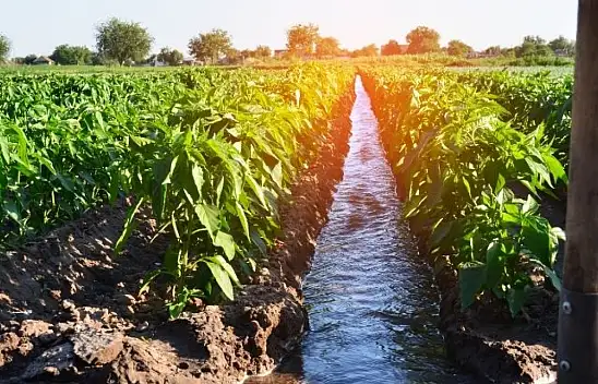 Kayseri'de sulu tarıma uygun tarla 246 Bin TL'ye satışta!