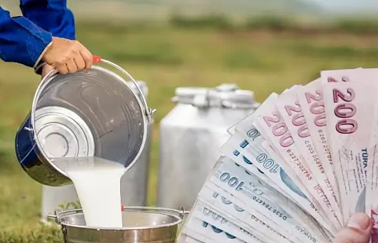 Kayseri'de süt alarmı! Zam ekimde başlıyor, üretici de tüketici de çaresiz