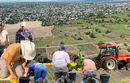 Kayseri'de tarım alanı sit alanı oldu!