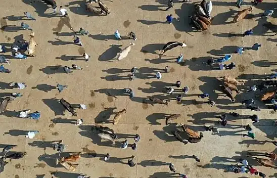 Kayseri'de tehlike geçmedi – Yaptırmayan tam 73 bin TL ceza ödeyecek!