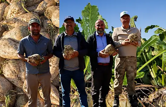Kayseri'de toprağın bereketi ortaya çıktı: İlk pancarlar yüzleri güldürdü