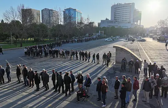 Kayseri'de ücretsiz domates fidesi dağıtım noktaları belli oldu: Kuyruk metrelerce uzayacak!