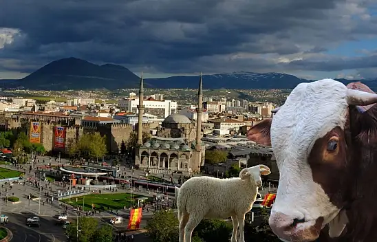 Kayseri'de ücretsiz kurban kesim kursu başlıyor!