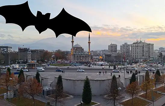 Kayseri'de Yarasalar Vatandaşları İkiye Böldü