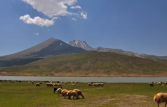 Kayseri'de yayla havası almak istiyorum diyenler… Acil buraya bakın - Bu haber sizin için!