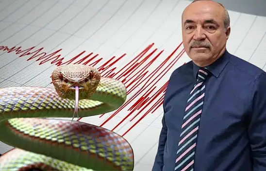 Kayseri'de yılanlar depremi mi haber veriyor? Evsen'den kritik açıklama