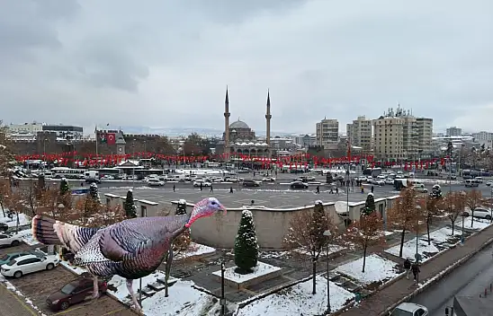 Kayseri'de yılbaşı için fiyatları belli oldu, talep rekor kırıyor!