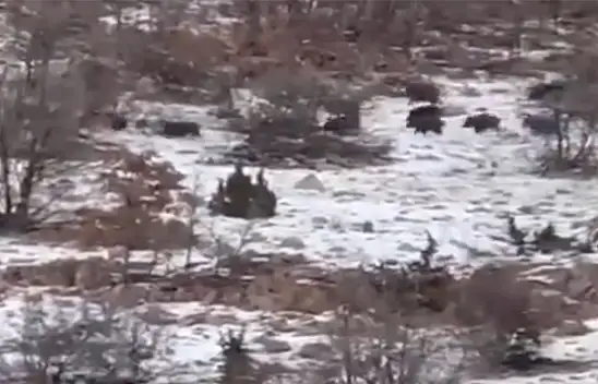 Kayseri'de yine görüldü – İlçe sakinleri endişeli!