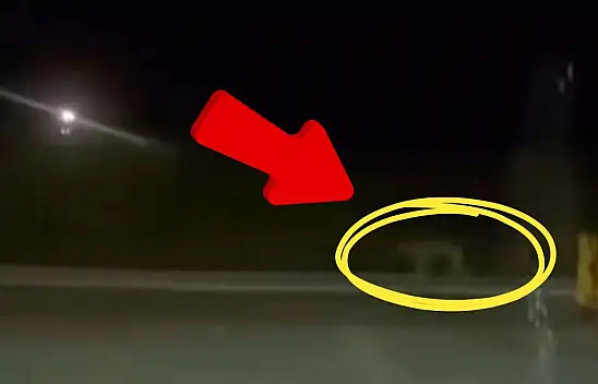 Kayseri'de yine sürü halinde görüldüler: İlçe halkı şaşkın!