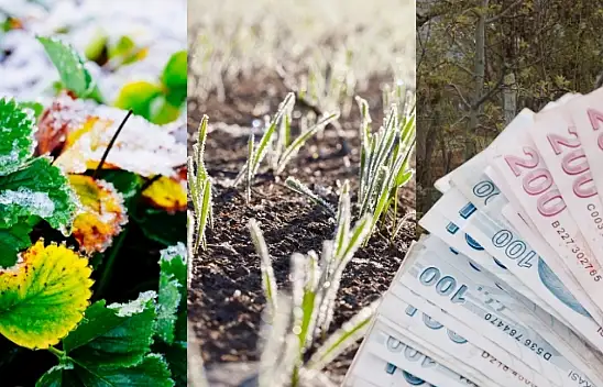 Kayseri'de zirai don bilançosu ağırlaşıyor: Milyarlarca liralık zararı kim karşılayacak?