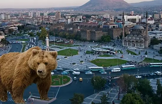 Kayseri'deki ayılar kış uykusunu unuttu!