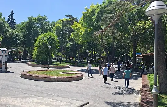 Kayseri'den kısa kısa: Fenomen Babaanne, TOKİ, Kayserispor, Kene, Türk-İş...