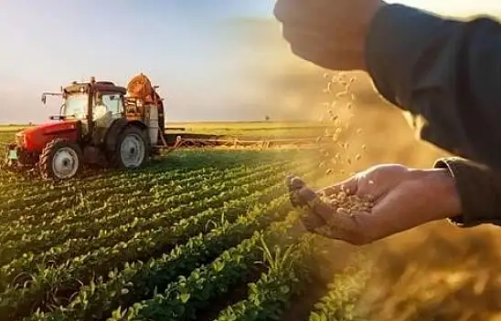 Kayseri'den üretim rekoru: Tüm Türkiye'ye Kayseri'den gidiyor!