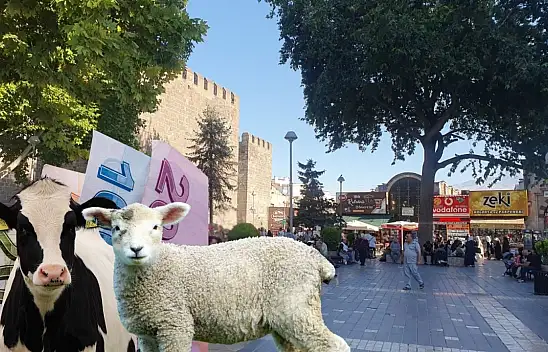 Kayseri et piyasasında 5 TL'lik dalgalanma!