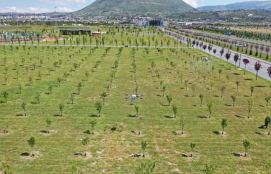 Kayseri Millet Bahçesi'nde kene var mı?