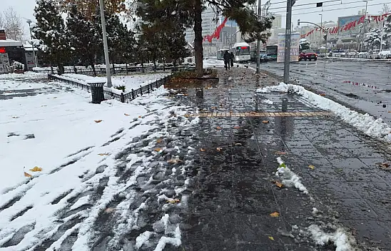 Kayseri'nin her sokağını mesken tuttular! Dondurucu soğuk bile engel olmadı