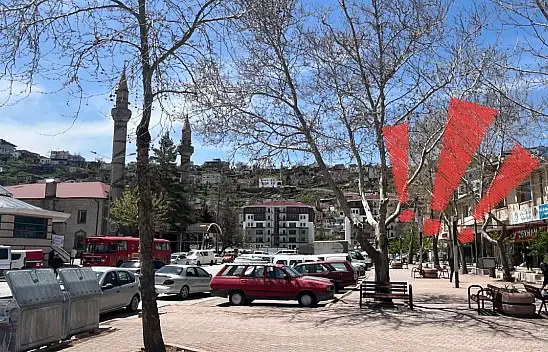 Kayseri'nin o ilçesinde bedava dağıtılacak: Son 19 gün!