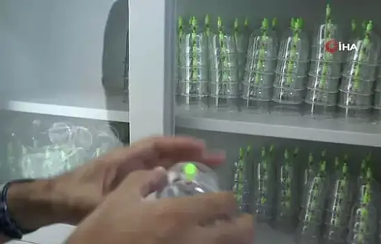 Kayseri'nin yeni furyası – Kliniklerde sıra bulunamıyor!