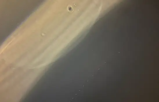 Kayseri semalarında gizemli ışık sıralaması