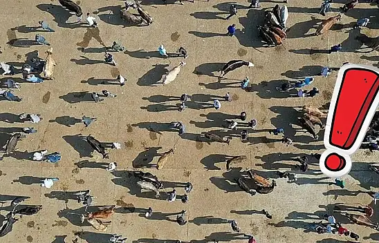 Kayseri, Sivas ve Yozgat'ı geride bıraktı!