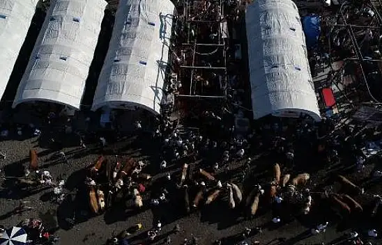 Kayseri, Sivas, Yozgat, Kırşehir, Nevşehir… Kurban Bayramı öncesi kollar sıvandı – Resmen başlıyor!