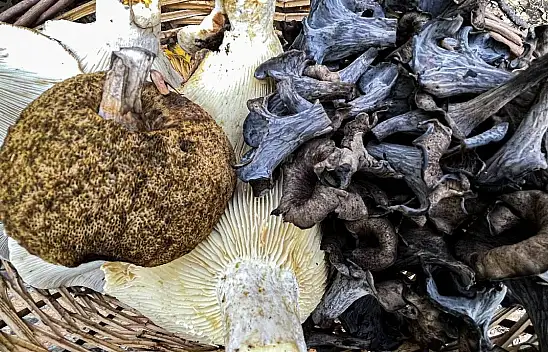 Kayseri'ye acil uyarı – Sakın bunu yapmayın – Çok iyi biliyorum diyen dahi bilemiyor!