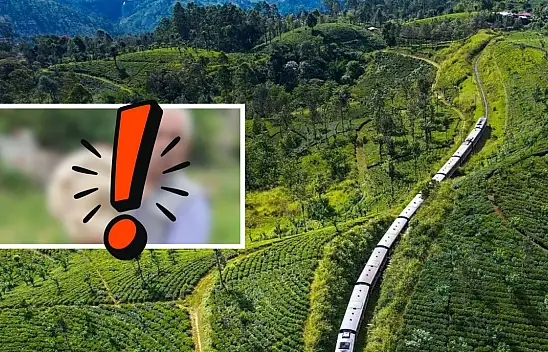 Kayseri'ye bereket geldi: O üründe bolluk yaşanıyor, kilosu 250-500 TL arasında!