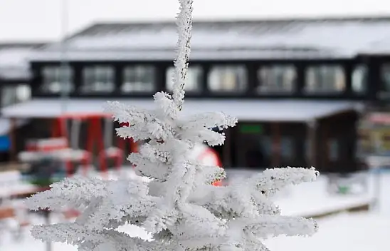 Kayseri'ye ilk kar yağdı!