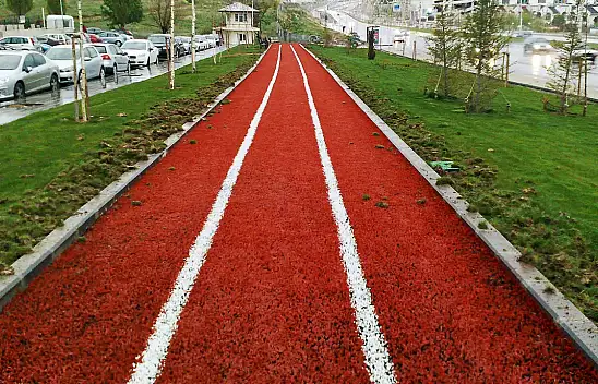 Kayseri Yürüyüş Yolunda Panik!