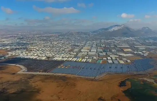 Kayserili O Firma Almanya'daki Fuara Damga Vurdu!