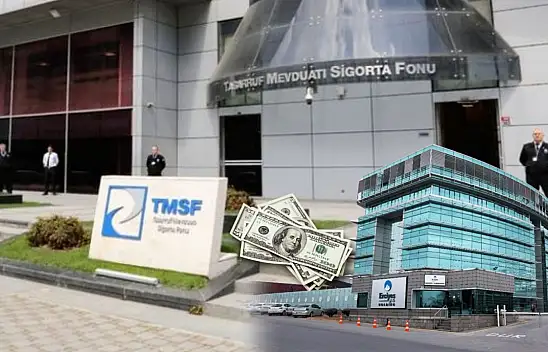 Kayserili şirketler satışa çıkıyor: İşte TMSF eylül ayı takvimi!