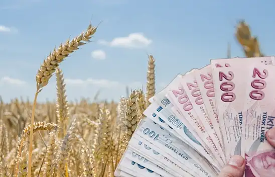 Kayserili üretici bu haberi bekliyordu: TMO buğday ve arpa fiyatı için o tarihi işaret etti!