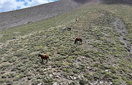 Kayserililer dikkat - Burayı mutlaka görmelisiniz!