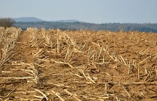 Kayserililer dikkat! Cebinizden 2800 lira çıkabilir