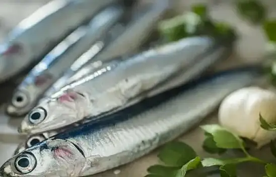 Kayserililer Dikkat! Hamsi Kuyuya Düştü