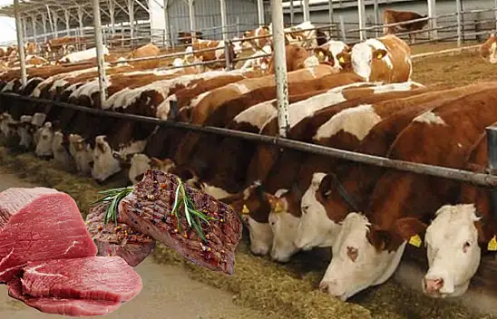 Kayserililer dikkat - Kırmızı ete 19 TL zam!