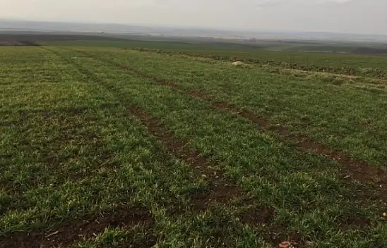 Kayserililere müjde! Cebinde bin lirası olan tarla sahibi olacak