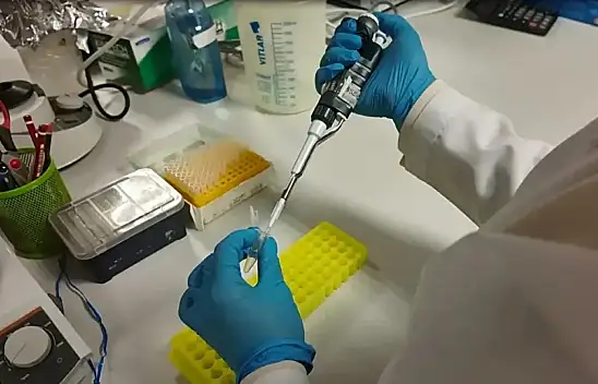 Kene ölümlerine çare Kayseri'den geldi: Aşı çalışmalarında kritik eşik aşıldı!