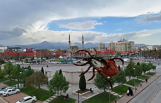 Kene vakaları artıyor - Kayseri'de en çok nerelerde kene görülebilir?