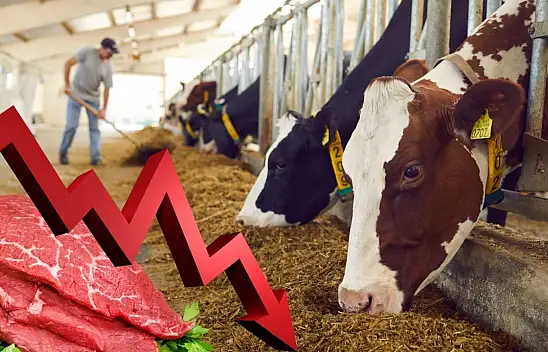 Kırmızı et üretimi 2 yılda tonlarca düştü!